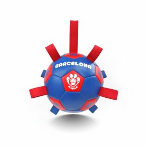 Pelota Poti Barcelona